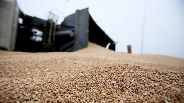 В Литве вводится более жесткий контроль над импортом российского зерна