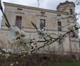 10. Согласно законодательству, его не имеют права сносить или радикально перестраивать. Дворцу присвоен статус культурного наследия.  4