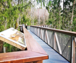 4. Тропа у Аникщяй оборудована стендами с различной информацией о лесах, а экскурсии можно заказать и на русском языке. Или скачать аудиогид. 4