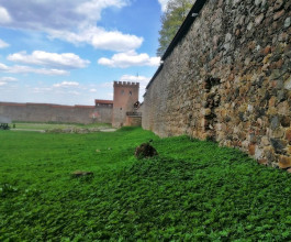 4. Защитное сооружение было необходимо на одном из самых древних торговых путей на Восток. 4