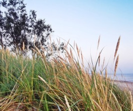 6. Сегодня приграничные латвийские дюны утыканы табличками «Частная собственность» по-латышски и по-литовски, а прогуливающиеся по побережью люди приветливо здороваются друг с другом исключительно по-литовски. 5