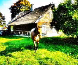 3. Сама деревенька совсем маленькая, по последней переписи населения здесь живёт пару сотен человек. Желающих пройти познавательную тропу - в десятки раз больше. Особенно по выходным.  3