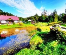 4. Вдоль тропы проходишь ещё одну деревню - Науйои Рева - и тут местные жители воспользовались популярностью тропы у столичных гостей.  4