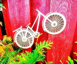 5. Можно купить овощи прямо с грядки, сочные яблоки, даже киоск с мороженным появился. Только возьмите с собой наличность. Банковские карточки здесь пока ещё не в почёте.  5