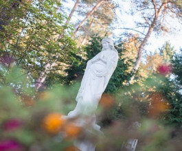 3. «Если тебя не вылечил воздух Кулаутувы, тебя уже ничто не вылечит», - это цитата иностранного туриста из репортажа тех дней газеты «Mūsų rytojus» («Наше завтра»). 3