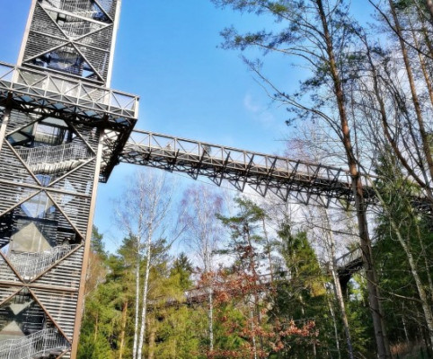 1. Тропа по кронам деревьев у Аникщяй стала настоящим хитом как для литовских туристов, так и для иностранцев. 1