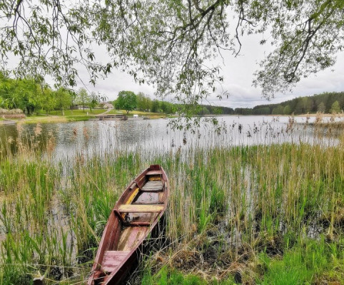 1. Молетай - столица не только трёхсот озёр, но и родина чемпионов рыбалки. Даже начинающие рыбаки без особого опыта могут уехать отсюда с солидным уловом. 1