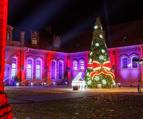 1. Рождественскую ёлку зажгли из-за коронавируса виртуально, а прямую трансляцию вели на нескольких новостных порталах. Фото администрации комплекса усадьбы Раудондварис. 1