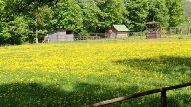 В Литве продлен запрет на продажу земли иностранцам