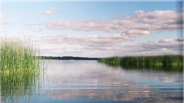 Тайну гибели скрывает вода