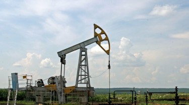 В 2014 году в Литве добыли 81,93 тыс. тонн нефти