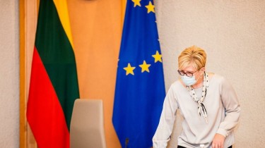 Премьер Литвы считает, что ее участие в саммитах ЕС по некоторым вопросам более практично