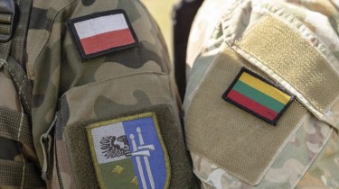 Военные Литвы и Польши участвуют в совместных учениях в Алитусе