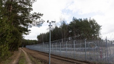 СОГГЛ: на границе Литвы с Беларусью развернуто 29 мигрантов