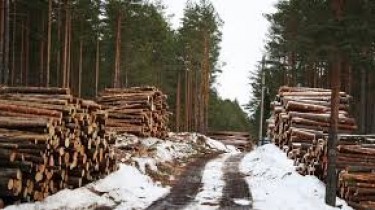В Литве остановят вырубку лесов на территориях Natura 2000