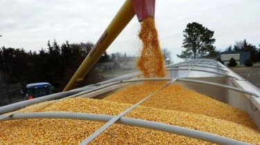 С понедельника в ЕС вступают в силу повышенные пошлины на зерно из РФ и Беларуси