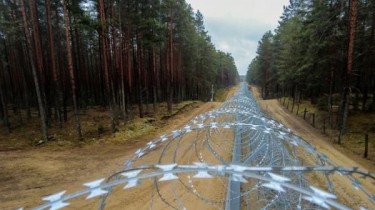 СОГГЛ: на границе Литвы с Беларусью задержаны 40 нелегальных мигрантов
