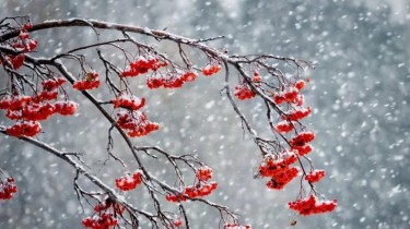 В воскресенье - дождь, в начале следующей недели - мокрый снег