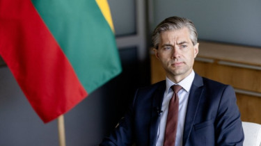 Кястутис Будрис: в Гааге нужно повторить обязательство, что Украина в будущем вступит в НАТО
