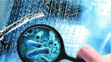 Легионеллез  – «болезнь теплого душа» и путешественников Легионеллез  – «болезнь теплого душа» и путешественников