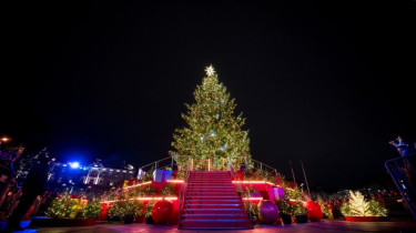 Путешествие по сияющей Литве: самые красивые елки