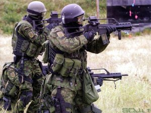 Литовские военные – на рубежах НАТО и ЕС