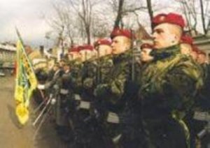 Профессиональной армии в Литве – быть!
