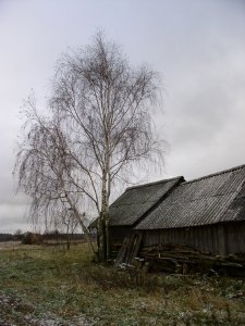 На нас наедет налог на недвижимость?