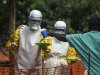 В Литве ознакомятся с риском распространения вируса Эбола 