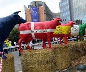  Страны Балтии и Вышеграда: фермерам во всем ЕС - одинаковые прямые выплаты 