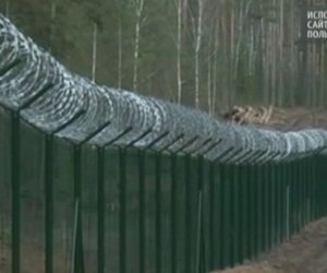 Завершается строительство защитного забора вдоль границы Литвы и России