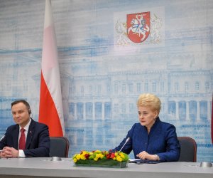 Д. Грибаускайте - о возобновлении работы Литовско-польской комиссии по просвещению