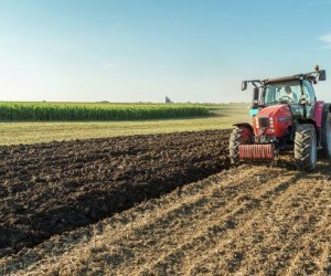 Балтийские страны и Польша подписали декларацию об унификации выплат земледельцам
