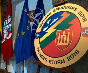 ВС Литвы: наблюдать за военными учениями в июне сможет и общественность