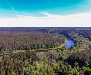 На территории пяти муниципалитетов Литвы - стихийная засуха