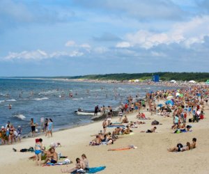На клайпедских пляжах купаться можно, бактерии Vibrio не обнаружены!