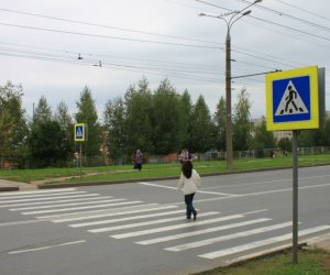 В Литве пешеходам запретили разговаривать по телефону при переходе улицы