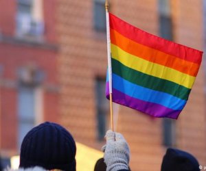 Конституционный суд Литвы рассмотрит дело геев, заключивших брак за границей
