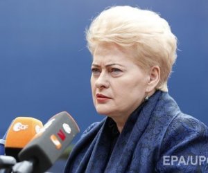 Президент Литвы: это кризис отношений властей и общества
