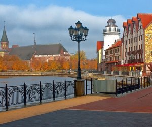 Литовцы Калининграда "против" референдума по двойному гражданству