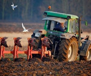 Министры сельского хозяйства стран Балтии и Польши стремятся уравнять прямые выплаты