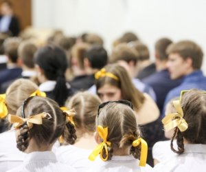 С. Сквернялис предлагает менять порядок финансирования или подведомственность школ