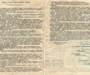 Обнаружен еще один оригинальный экземпляр декларации 16 февраля 1949 года