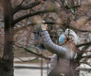 Удалось ли нам сдать "пасхальный экзамен" - увидим через неделю с небольшим