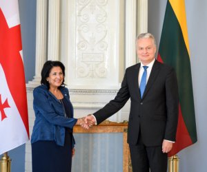 Президент: Литва - твердый сторонник евро-атлантической интеграции Грузии