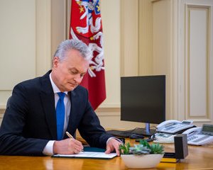 Кабмин Литвы одобрил предложение президента по детским пособиям