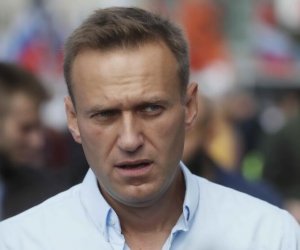 Отравление Навального "Новичком" - чем поможет ОЗХО?