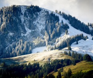 Жители Австрии и Швейцарии были удивлены неожиданным обильным снегопадом.