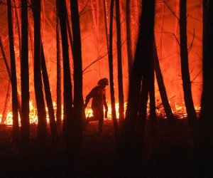 ООН: изменение климата несет с каждым годом все больше погодных катаклизмов 