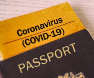 Вице-министр Литвы: подготовка к паспорту иммунитета идет слаженно